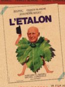 Achat DVD  L'étalon 