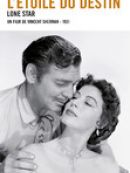 Achat DVD  L'Etoile Du Destin 