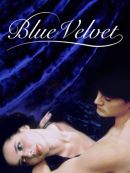 Achat DVD  Blue Velvet 