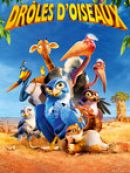 Achat DVD  Drôles d'oiseaux 