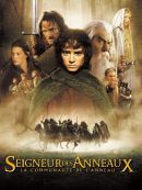 Achat DVD  Le seigneur des anneaux : la communauté de l'anneau (VF) 