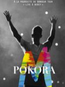 Achat DVD  M. Pokora: A la poursuite du bonheur Tour 