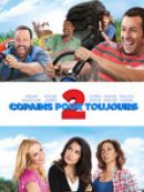 Achat DVD  Grown Ups 2 