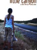 Achat DVD  Little Canyon 