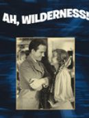Achat DVD  Impetueuse Jeunesse (Ah, Wilderness) 