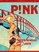 Achat DVD  P!Nk: Funhouse Tour 
