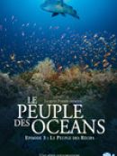 Achat DVD  Le peuple des oceans : Episode 3 
