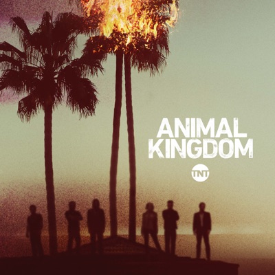 Télécharger Animal Kingdom, Saison 1 (VF)