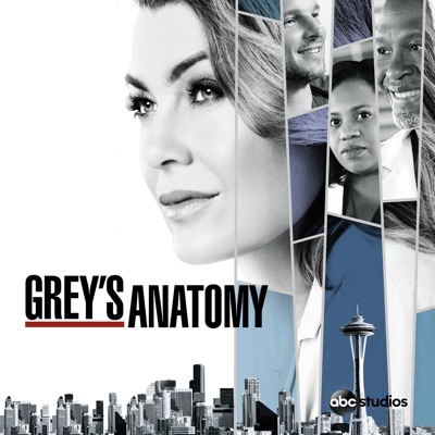 Télécharger Grey's Anatomy, Saison 15 (VOST)