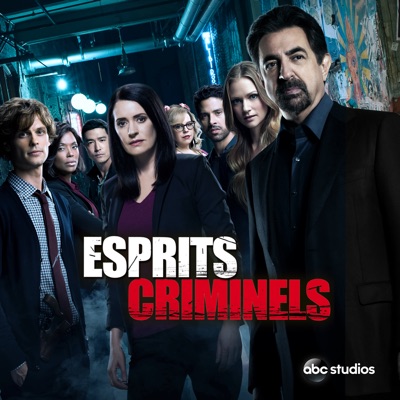 Télécharger Esprits criminels, Saison 14 (VOST)