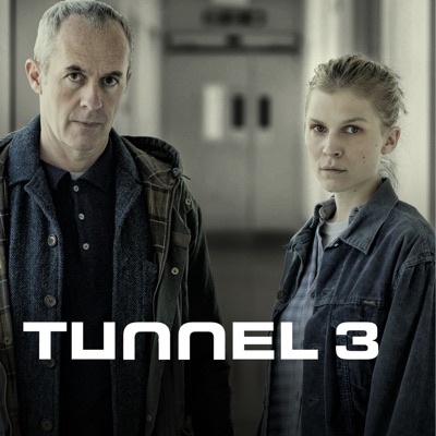 Télécharger Tunnel, Saison 3 (VOST)
