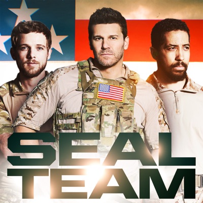 Télécharger SEAL Team, Saison 1