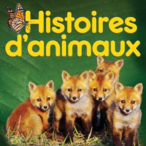 Histoires d'animaux torrent magnet