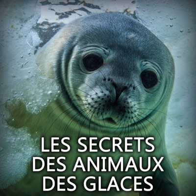 Télécharger Les secrets des animaux des glaces