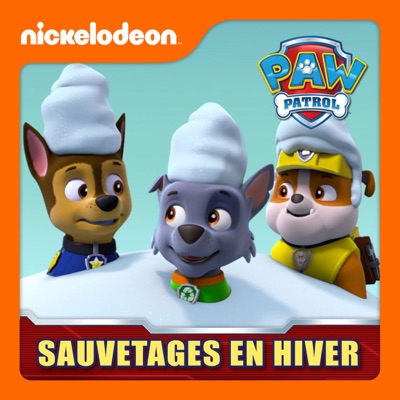 Télécharger Paw Patrol - Sauvetage en Hiver