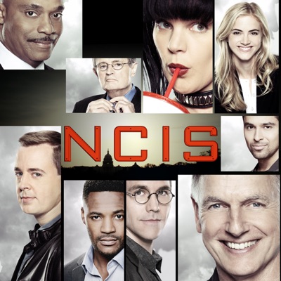 Télécharger NCIS, Saison 15