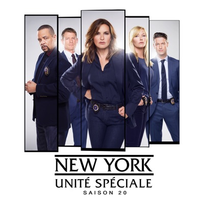 Acheter New York Unité Spéciale, Saison 20 en DVD