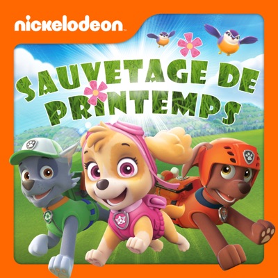 Télécharger Paw Patrol, la Pat’ Patrouille, Sauvetage de printemps