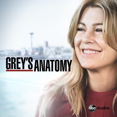 Grey's Anatomy, Saison 15 torrent magnet