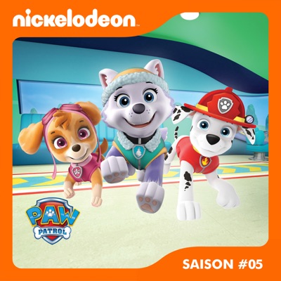 Télécharger Paw Patrol, la Pat’ Patrouille, Saison 5, Partie 1