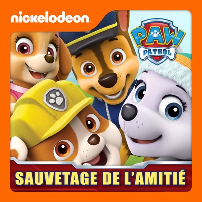 Paw Patrol - Sauvetage de l'amitié torrent magnet