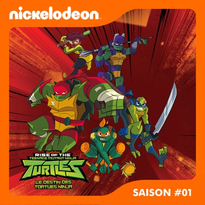 Télécharger Le Destin des Tortues Ninja, Saison 1, Partie 1