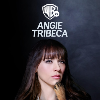 Acheter Angie Tribeca, Saison 2 (VF) en DVD