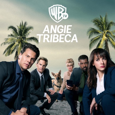 Acheter Angie Tribeca, Saison 3 (VF) en DVD