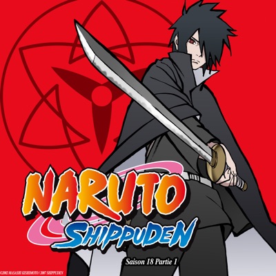 Naruto Shippuden Saison 18 Partie 1 torrent magnet