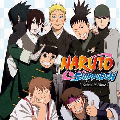Acheter Naruto Shippuden, Saison 18, Partie 2 en DVD