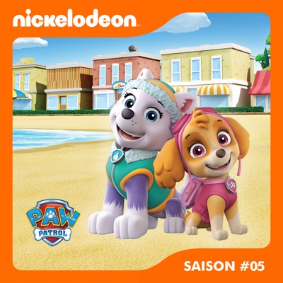 Paw Patrol, la Pat’ Patrouille, Saison 5, Partie 2 torrent magnet