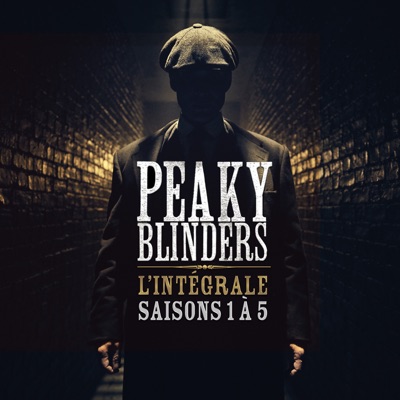 Peaky Blinders, l'intégrale des saisons 1 à 5 (VF) torrent magnet