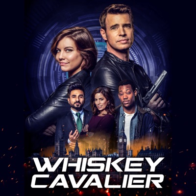 Whiskey Cavalier, Saison 1 (VF) torrent magnet