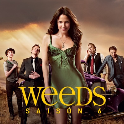 Weeds, Saison 6 (VF) torrent magnet