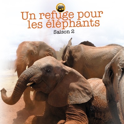 Télécharger Un refuge pour les éléphants, Saison 2