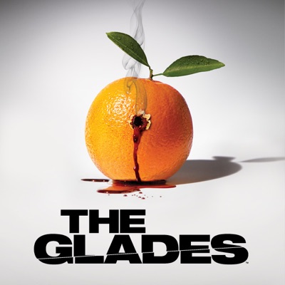 Télécharger The Glades, Saison 2