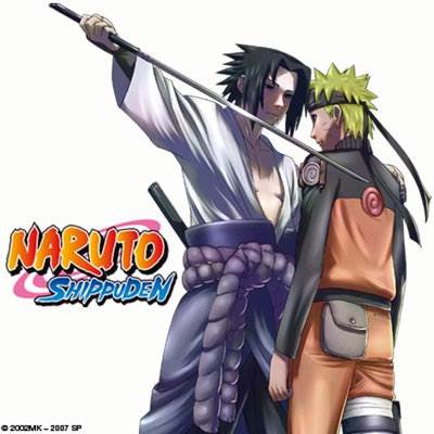 Télécharger Naruto Shippuden, Arc 2 : Les froides retrouvailles