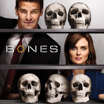Télécharger Bones, Saison 4