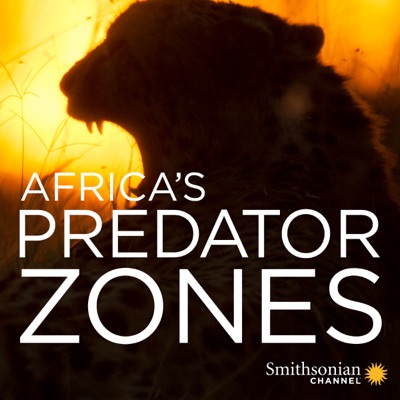 Africa's Predator Zones, Season 1 torrent magnet