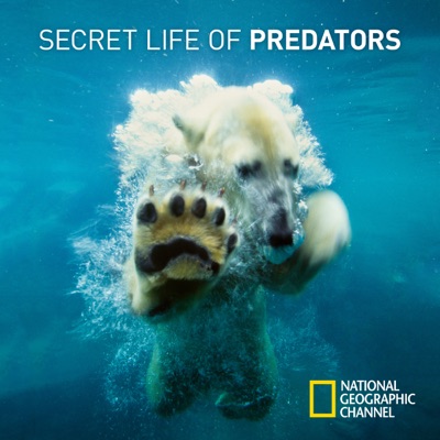 Télécharger Secret Life of Predators