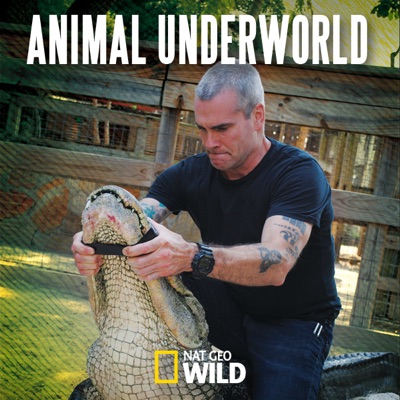 Acheter Animal Underworld en DVD