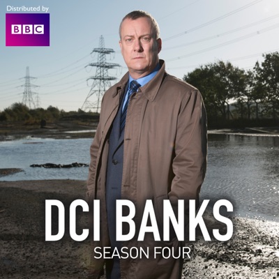 Télécharger DCI Banks, Season 4