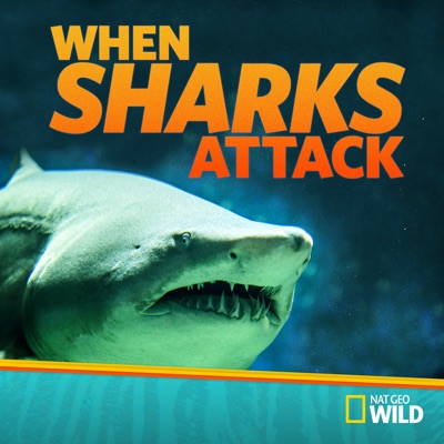 Télécharger When Sharks Attack, Season 3
