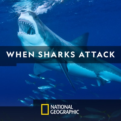 Télécharger When Sharks Attack, Season 5