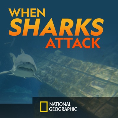Télécharger When Sharks Attack, Season 6