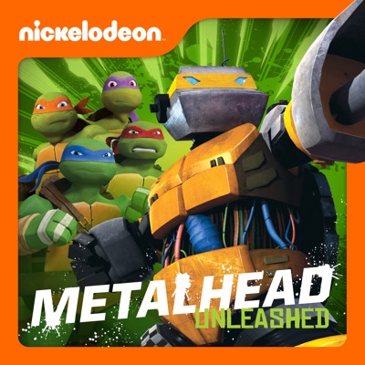 Télécharger Teenage Mutant Ninja Turtles, Metalhead Unleashed!