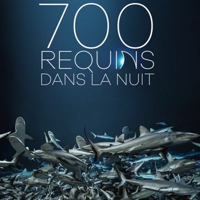 Télécharger 700 requins dans la nuit