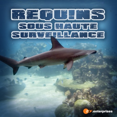 Télécharger Requins sous haute surveillance