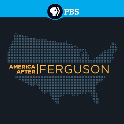 Télécharger America After Ferguson