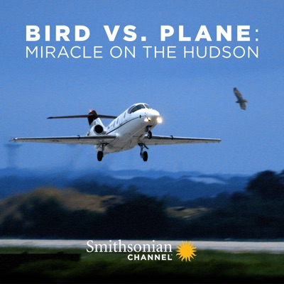 Télécharger Bird vs. Plane: Miracle On the Hudson